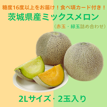 【商品番号⑤】輝2L2玉ミックスメロン