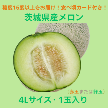 【商品番号⑦】輝4L1玉メロン