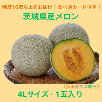【商品番号⑦】輝4L1玉メロン