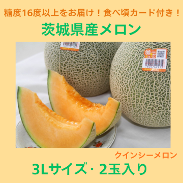 【商品番号⑪】輝3L2玉クインシーメロン