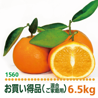 いよ柑お買得品(家庭用)6.5kg