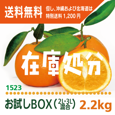 「いよ柑」お試しBOX