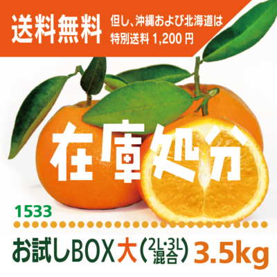 「いよ柑」お試しBOX(大)