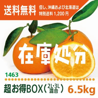 「いよ柑」超お得BOX