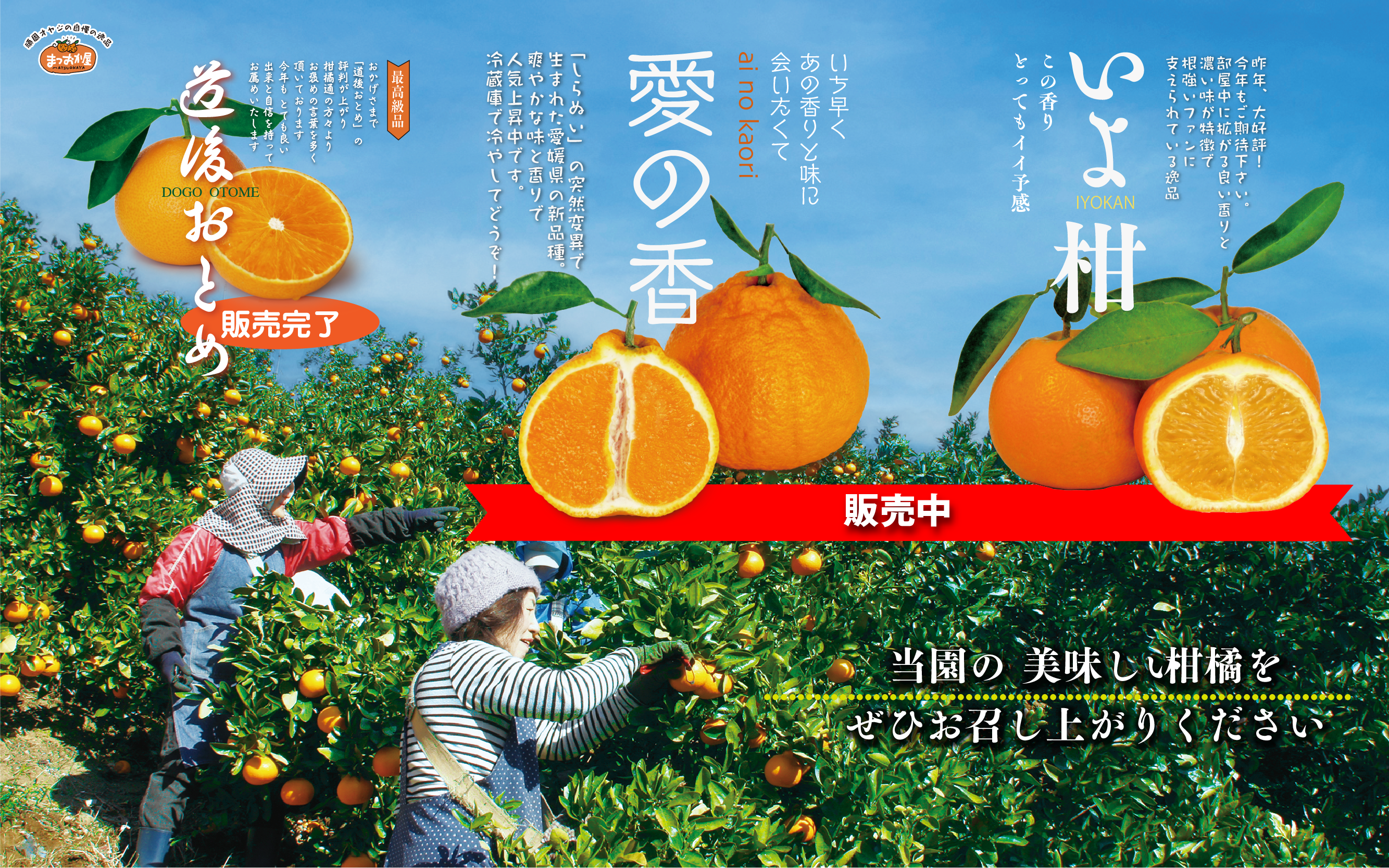 まつおか屋販売所