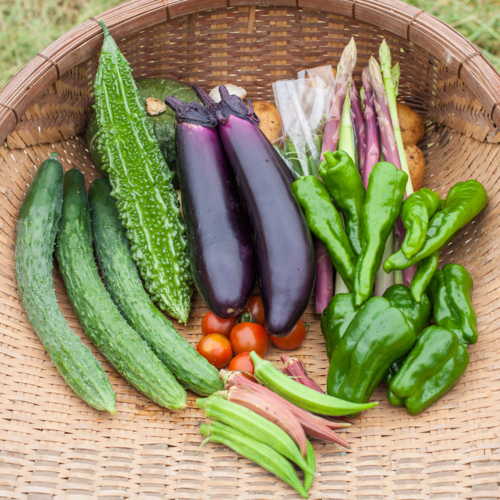 専用　旬野菜　新じゃがセット 旬野菜8品入った野菜セットS - 有機生活ネット