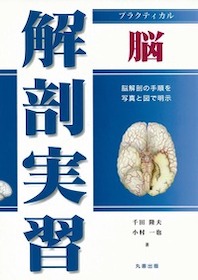 実習で学ぶ人体の構造 人体の構造と機能 解剖生理学実習 | 書籍情報 | 株式会社 講談社