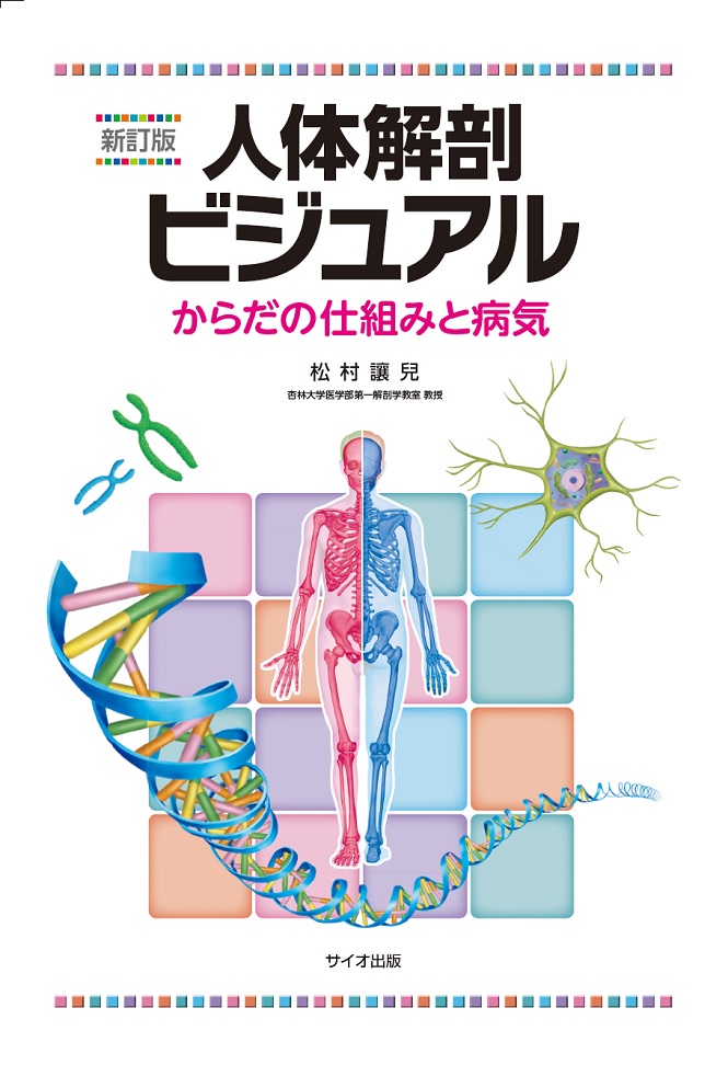 人体解剖ビジュアル 新訂版 | 神陵文庫