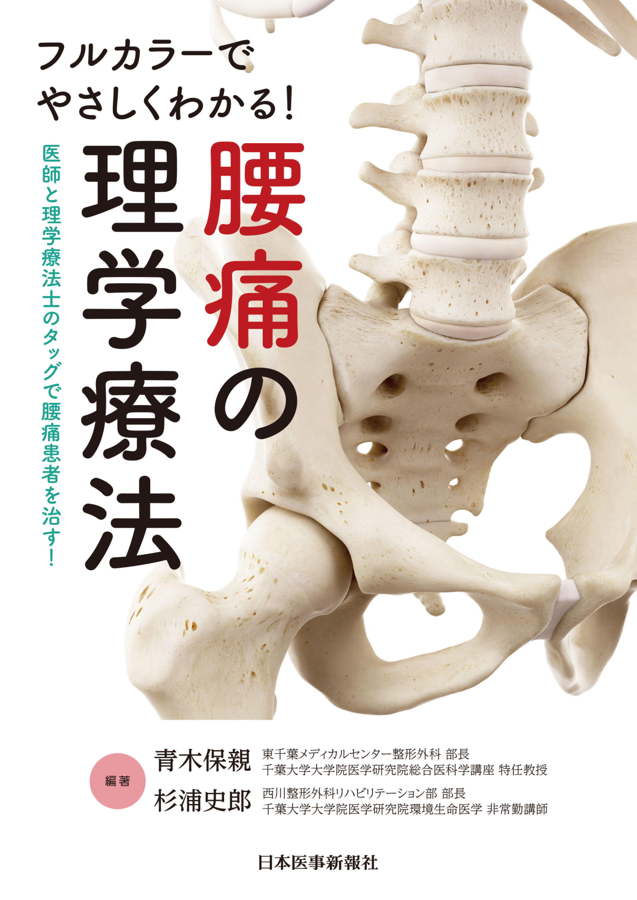 腰痛の理学療法 | 神陵文庫