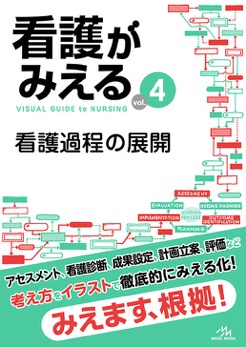 看護過程♡♡4点セット  看護師国家試験 看護過程 看護がみえる 4 看護過程の展開 | 神陵文庫