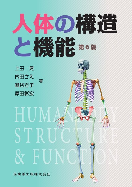 人体の構造と機能 | 神陵文庫