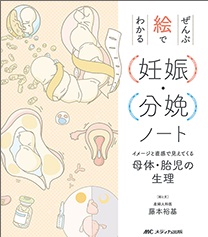 妊娠・分娩に関する専門書セット 妊娠・分娩に関する専門書セット 妊娠・分娩に関する専門書セット 書籍