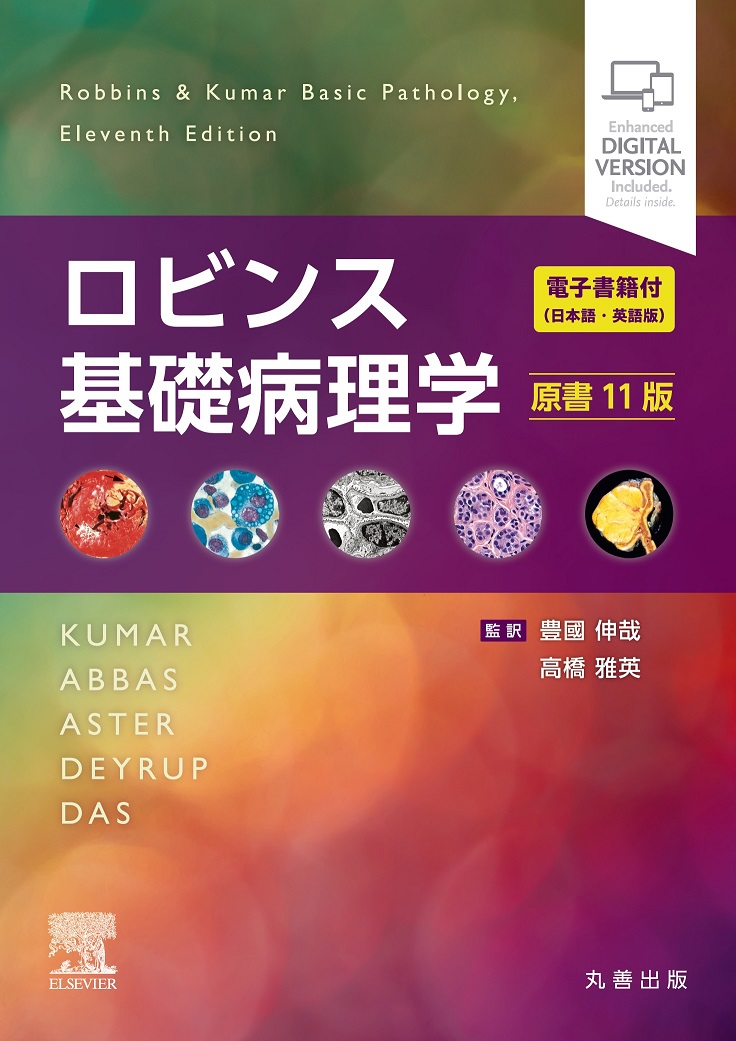 ロビンス 基礎病理学 原書11版 | 神陵文庫