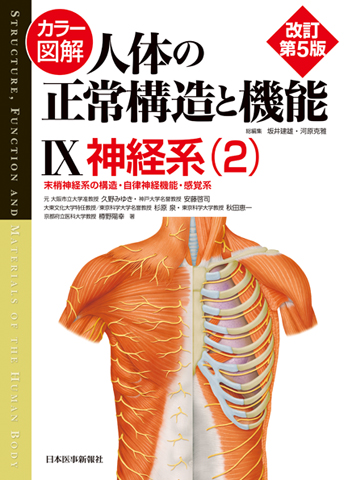 人体の正常構造と機能 改訂第5版 人体の正常構造と機能 改訂第5版 カラー図解 | 全10巻縮刷版 神陵文庫