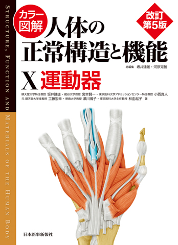 改訂　5版　人体の正常構造と機能 カラー図解 人体の正常構造と機能〈5〉腎・泌尿器 | 坂井 建雄