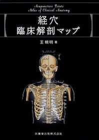 経穴断面解剖図解 頭頸・胸部 鍼灸医学専門書 経穴臨床解剖マップ【電子版】 | 神陵文庫