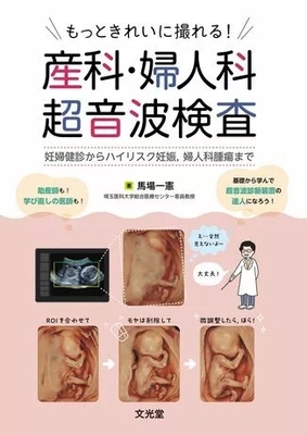 産科・婦人科超音波検査**文光堂/馬場 一憲/978-4-8306-3128-3/9784830631283**