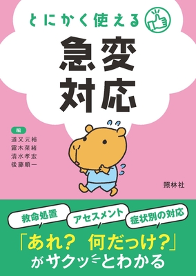 とにかく使える急変対応**照林社/道又 元裕/978-4-7965-2580-0/9784796525800**
