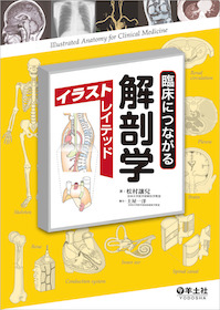 臨床につながる解剖学イラストレイテッド 神陵文庫