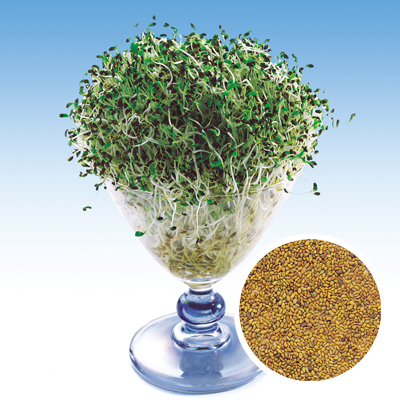 Product Subcategory Category Shopname ネット通販 自然生活