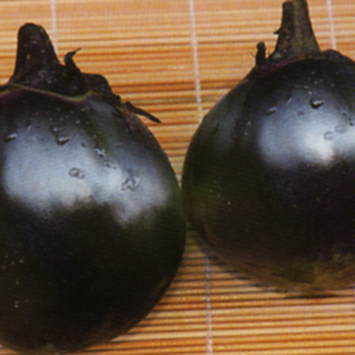 伝統野菜・京野菜・加茂なす苗2株セット