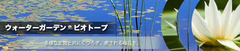 ビオトープガーデン