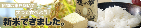 新米