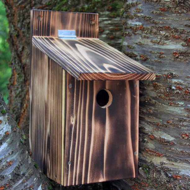 小鳥巣箱（片屋根タイプ）完成品 | 自然生活