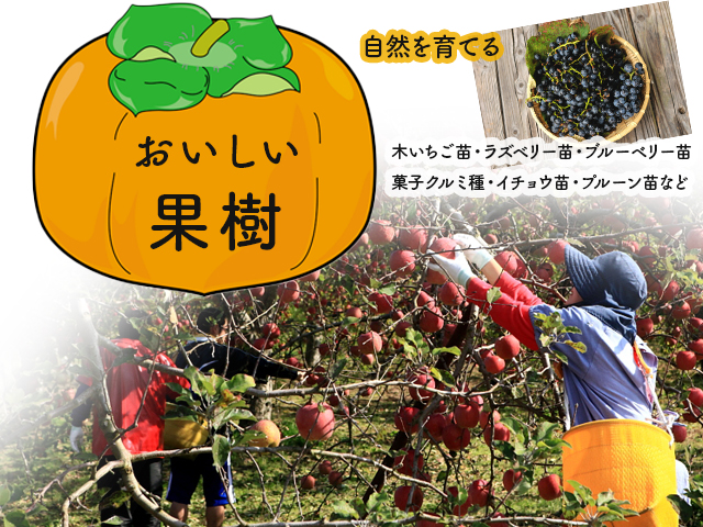 果樹苗
