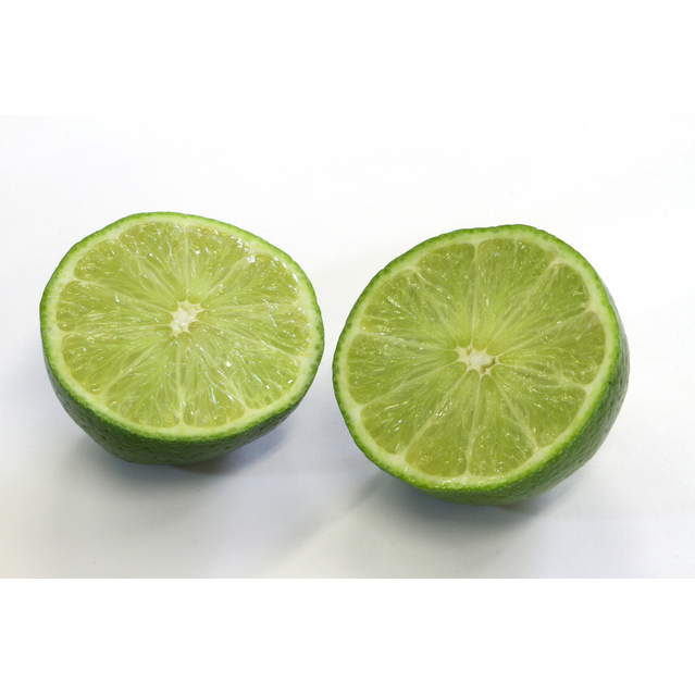 果樹苗 みかん苗 興津早生 おきつわせ 苗木・植木 アレンユーレカ