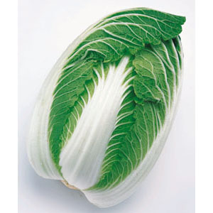 チョロギ苗2株セット | 自然生活