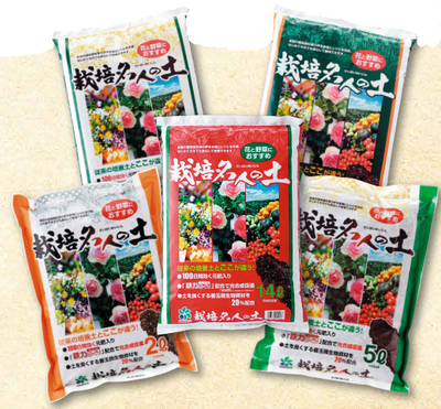 珍野菜　チョロギ　초석잠 2キロ チョロギ漬けました。 | 北海道産の美味しいビーツや西洋野菜