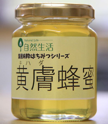 北海道産 キハダ（黄膚の木）はちみつ 170g［A&F自然生活］