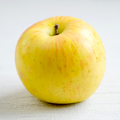 りんご つがる苗