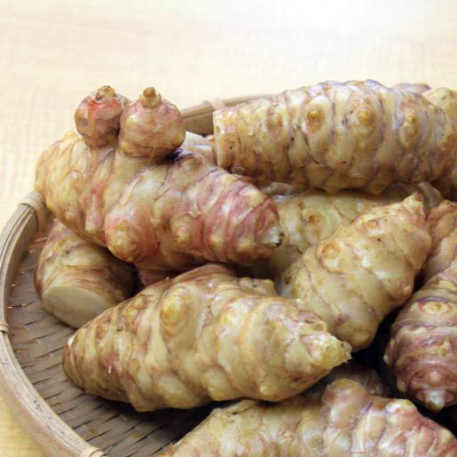 【白菊芋＋赤菊芋の種芋・苗 】甘くて美味しく❤️ 有機肥料を使用/農薬は不使用 自然食品：赤キクイモ（菊芋）300g｜山菜苗｜自然を育てる | 自然生活