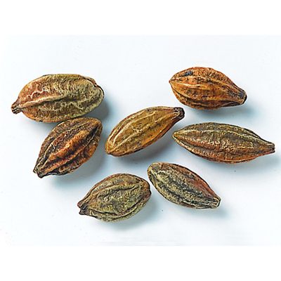 乾燥ミロバラン・果実、ミロバラン液EX25