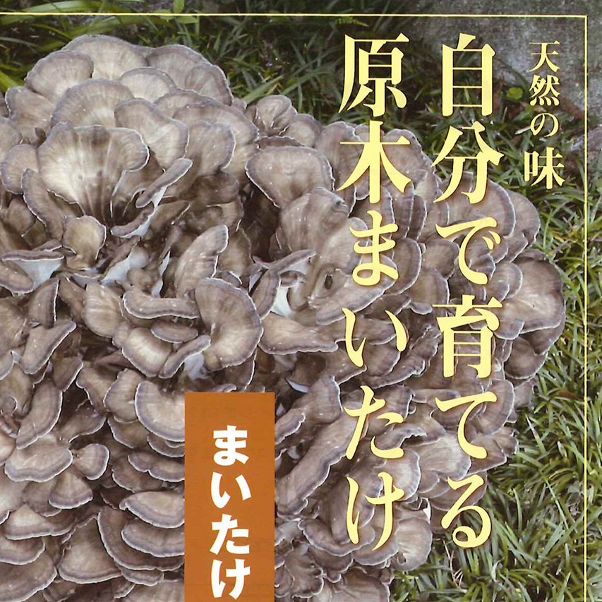 原木まいたけ完熟ホダ木（短木栽培）｜きのこ栽培種菌・原木｜自然を