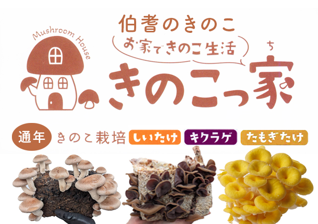 きのこっ家