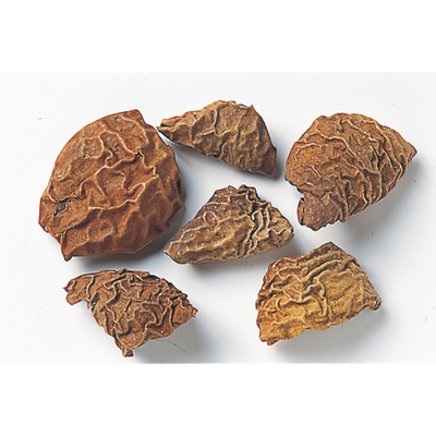 乾燥クルミ・果皮