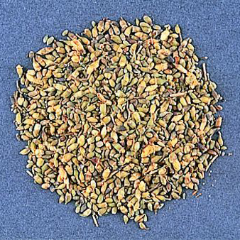 乾燥えんじゅ・花蕾