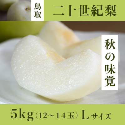 二十世紀梨 5kg Lサイズ