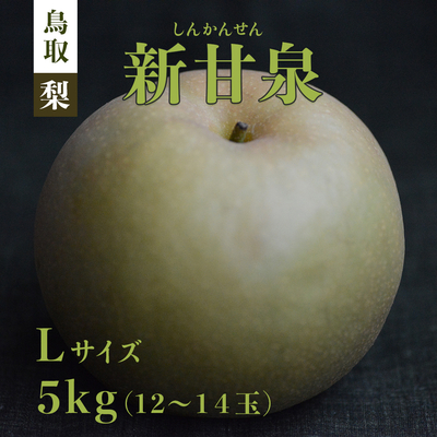 【期間限定】鳥取梨 新甘泉 5kg Lサイズ