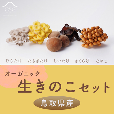 ［鳥取県産］生きのこセット