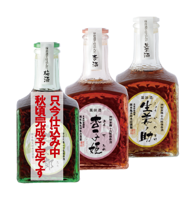 保命酒 梅太郎 杏子姫 生姜ノ助 300ml