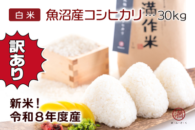 【令和8年産・新米】【訳あり・数量限定】魚沼産コシヒカリ 訳ありこつぶ米 白米30kg