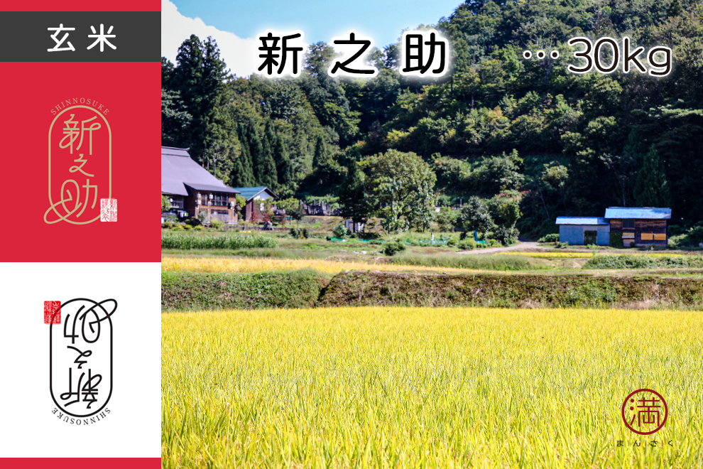 R8年産県認証米 新之助「玄米」30kg 予約受付 発送は10月中旬予定