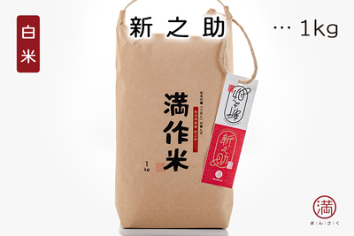 ★そらの助!★PREMIUM MINNEMAX 健白水 500ml4本入り 楽天市場】ペンギンソーダ ペット（高圧無糖炭酸水）1000ml（24