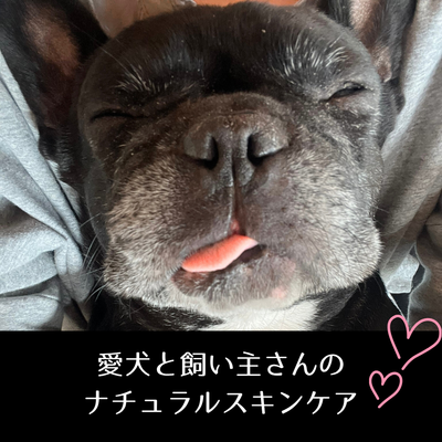 【オンデマンド】愛犬と飼い主さんのナチュラルスキンケア