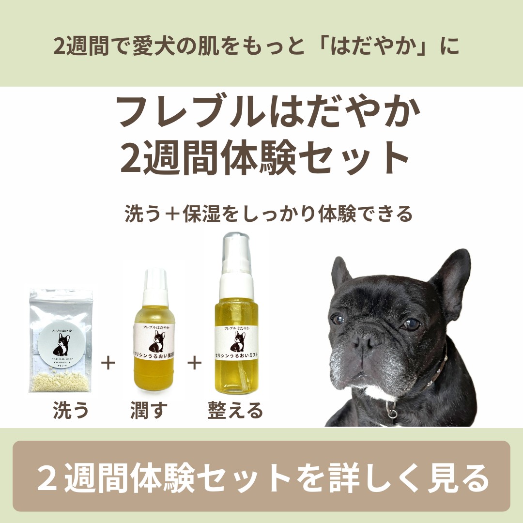 フレブルはだやか2週間体験セット