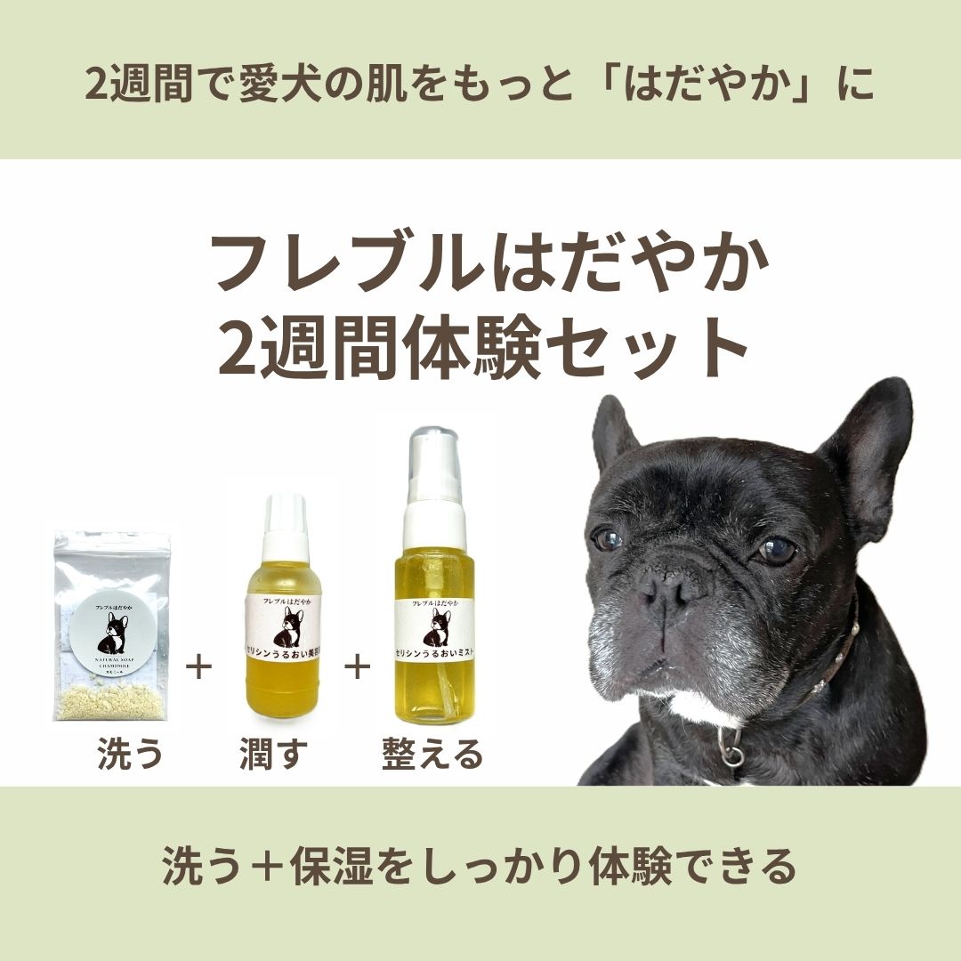 フレブルはだやか2週間体験セット